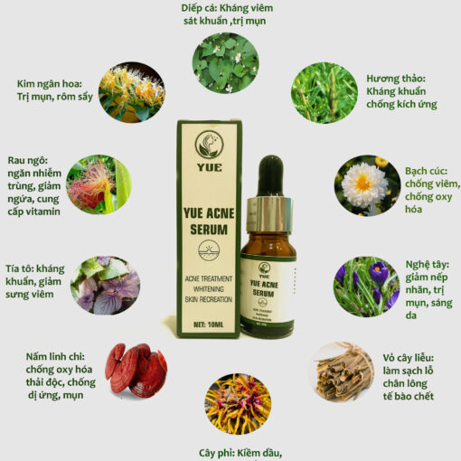 serum trị mụn